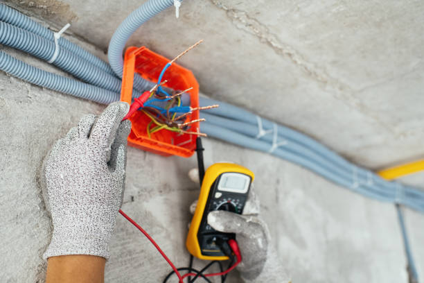 Best Electrician for Home Renovation  in Cold Spring, MN